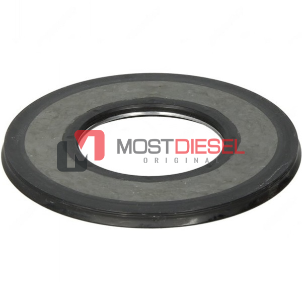 Oil Seal