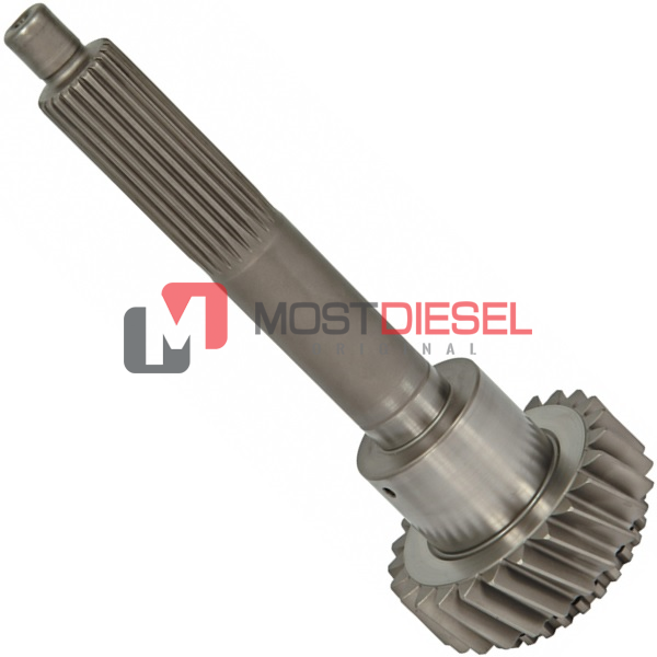 Input Shaft ( 25T )