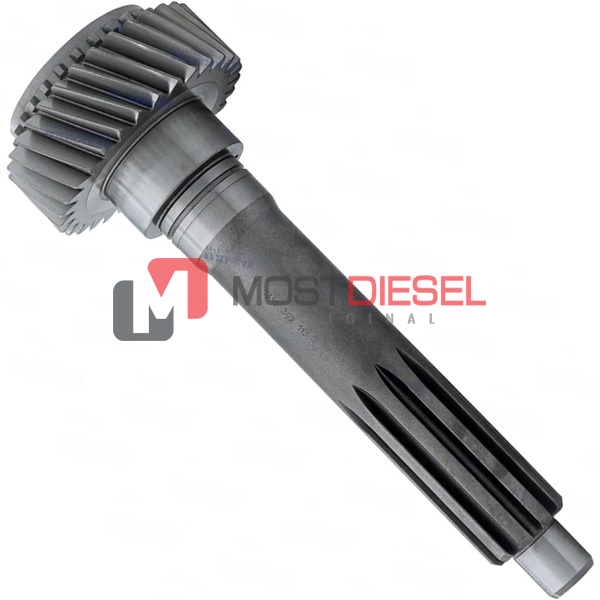 Input Shaft (31 T)