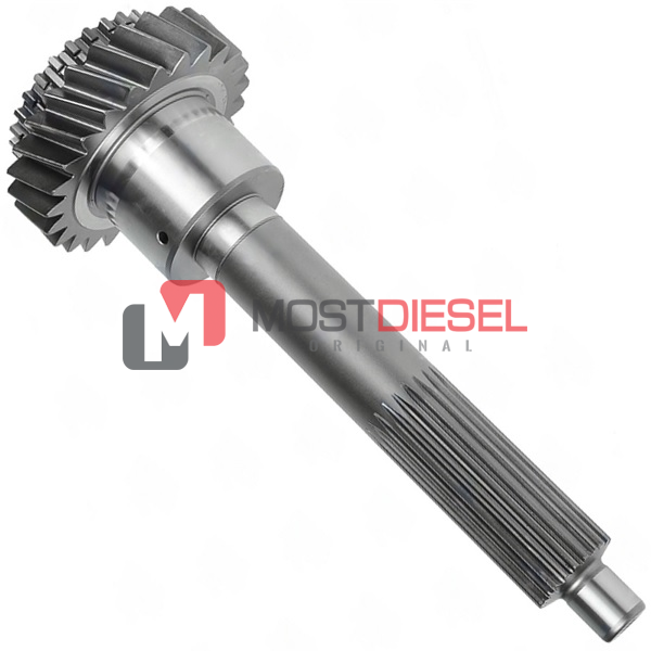 Input Shaft ( 25T )