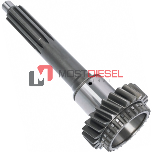 Input Shaft ( 23T )