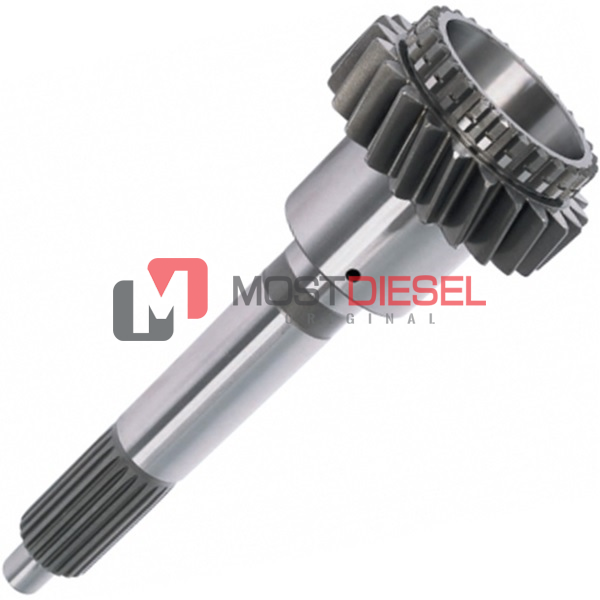 Input Shaft ( 23T )