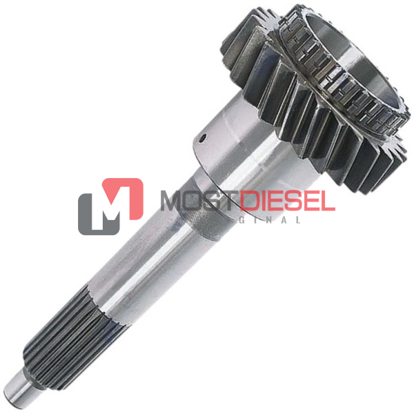 Input Shaft ( 25T )