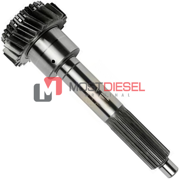 Input Shaft ( 23T )