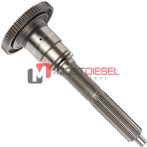 Input Shaft ( 66T )